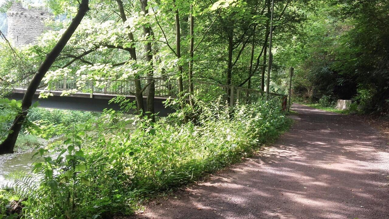 Ferienwohnungen "Am Fuerstenweg" Нойвиед Екстериор снимка